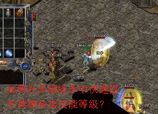 ��������Ѱ汾�п�������Ӣ�ۺϻ����ܵȼ���