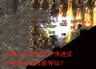 ��������Ѱ汾�п�������Ӣ�ۺϻ����ܵȼ���