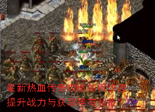 ������Ѫ���湥����ο�������ս�����ȡϡ��װ����