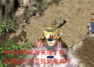 �������˽���ط��������Ӧ����Ѱ���·�����