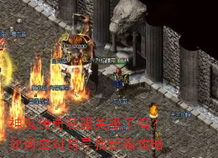 �������˽���ط��������Ӧ����Ѱ���·�����