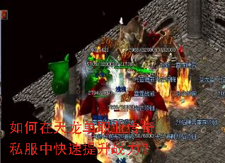�����������ְҵ����˽���п�������ս����