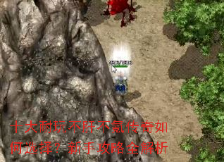 ʮ�����治�β�봴������ѡ�����ֹ���ȫ����