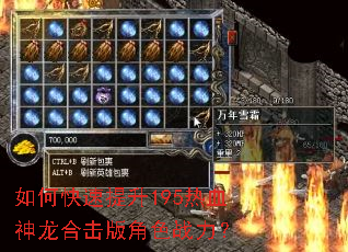 如何快速提升195热血神龙合击版角色战力? 如何快速提升195热血神龙合击版角色战力?