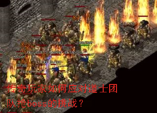 ����������Ӧ�Ե�ʿ�Ŷ���boss����ս��