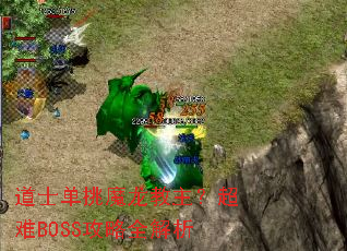 ��ʿ����ħ������������BOSS����ȫ����