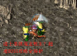 ��ʿ����ħ������������BOSS����ȫ����