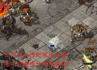 如何在gm传奇私服公益服中快速提升角色等级? 如何在gm传奇私服公益服中快速提升角色等级?