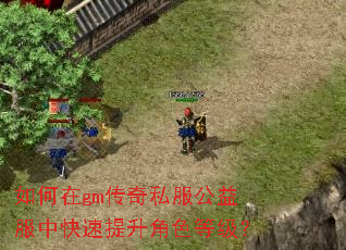 如何在gm传奇私服公益服中快速提升角色等级? 如何在gm传奇私服公益服中快速提升角色等级?