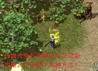 热血传奇怀旧版金币获取全攻略,你掌握了几种方法? 热血传奇怀旧版金币获取全攻略,你掌握了几种方法?