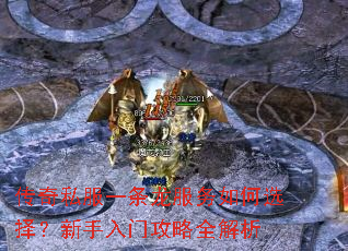 ����˽��һ�����������ѡ���������Ź���ȫ����