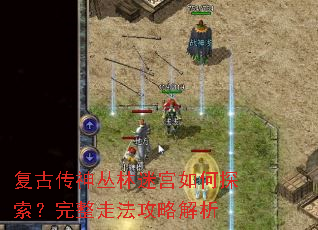 ���Ŵ�������Թ����̽���������߷����Խ���