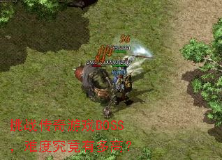 ��ս������ϷBOSS���ѶȾ����ж�ߣ�