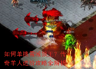 ��ε���ѩ���������������˽��׹���ȫ����