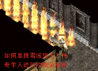 ��ε���ѩ���������������˽��׹���ȫ����