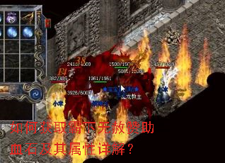 ��λ�ȡ������������Ѫʯ����������⣿