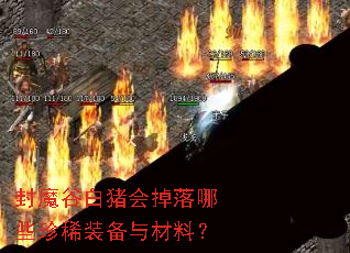 ��ħ�Ȱ����������Щ��ϡװ������ϣ�
