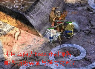 苍月岛两大boss分别掉落哪些顶级装备与稀有材料? 苍月岛两大boss分别掉落哪些顶级装备与稀有材料?