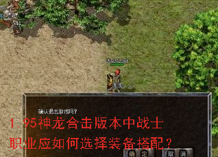 1.95�����ϻ��汾��սʿְҵӦ���ѡ��װ�����䣿
