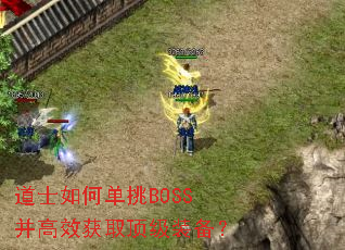 ��ʿ��ε���BOSS����Ч��ȡ����װ����