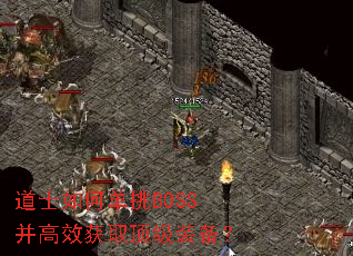 ��ʿ��ε���BOSS����Ч��ȡ����װ����