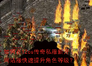 �����12cs����˽���¿���վ������������ɫ�ȼ���