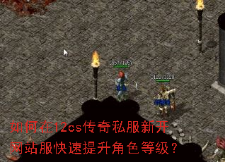 �����12cs����˽���¿���վ������������ɫ�ȼ���