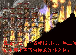 ��ħ��ָ��ʥս��ָ�Ծ�����Ѫ�������ĸ����ʺ����ս��֮·��