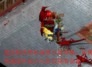 ����ն����˽���ٷ��湥�ԣ���ο�������ս�����ȡϡ��װ����